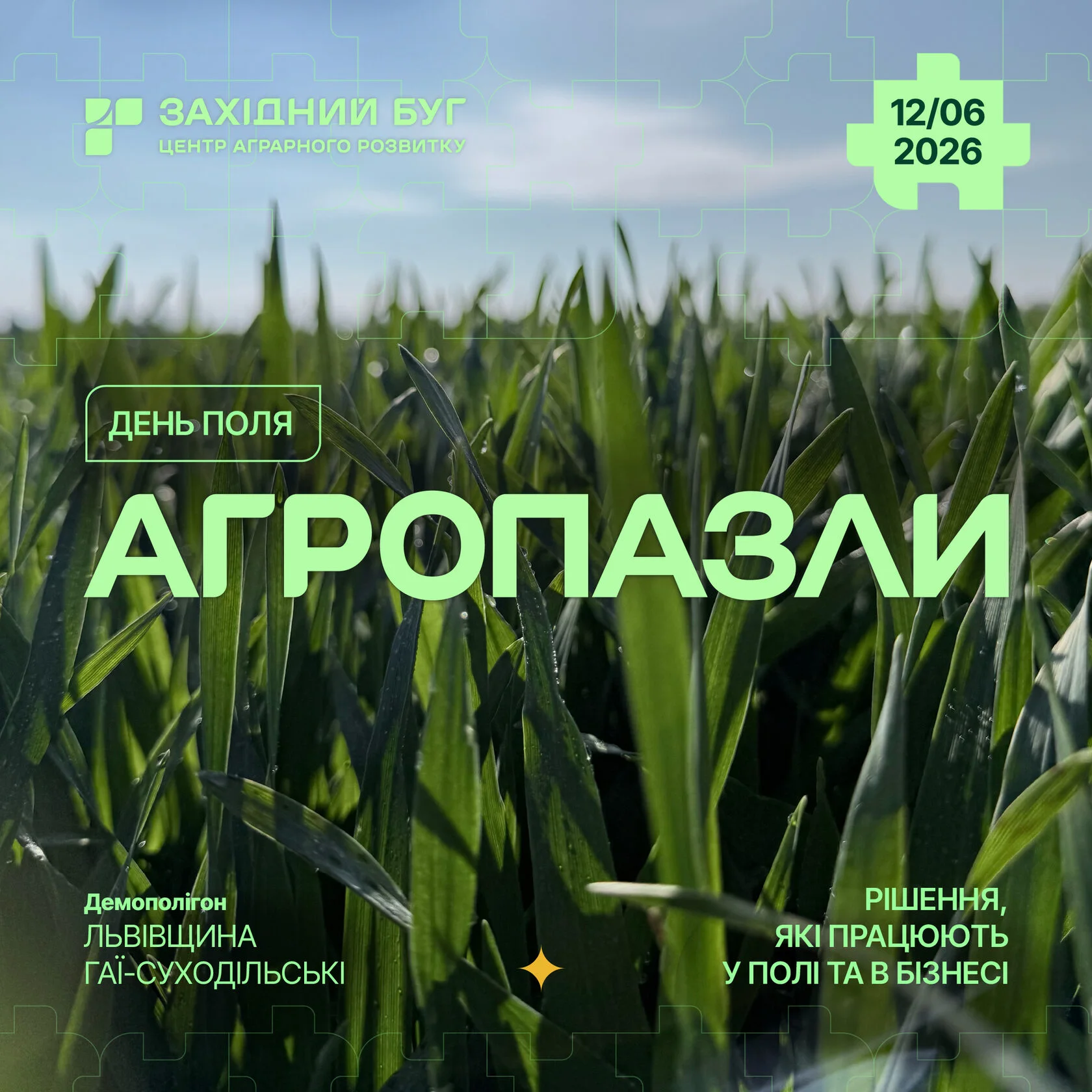 Всеукраїнський День Поля «Агропазли»: у фокусі пшениця, ячмінь та  ріпак