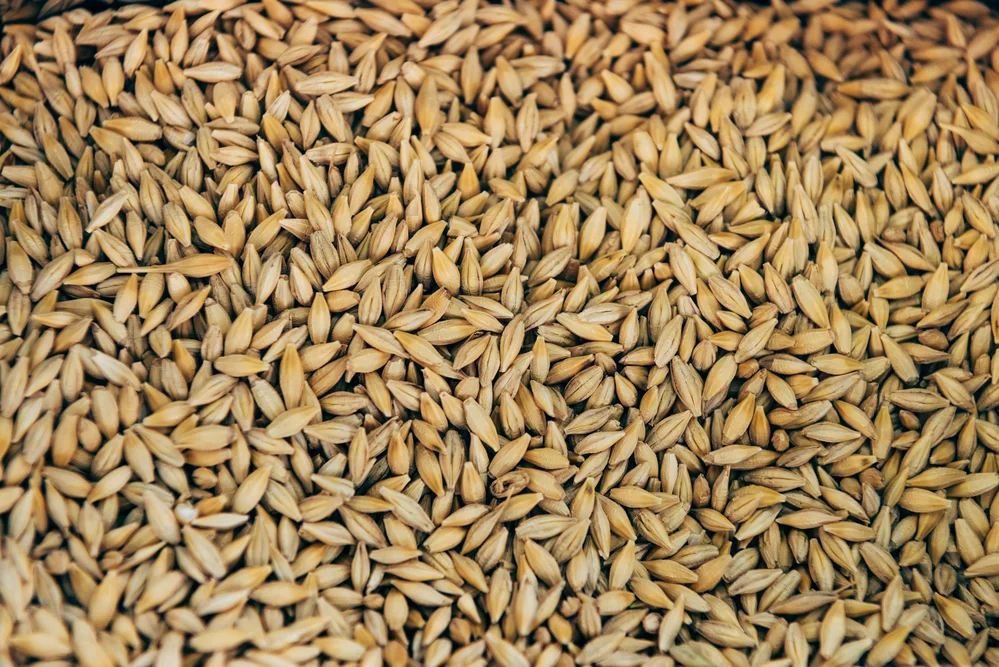 AgroTech